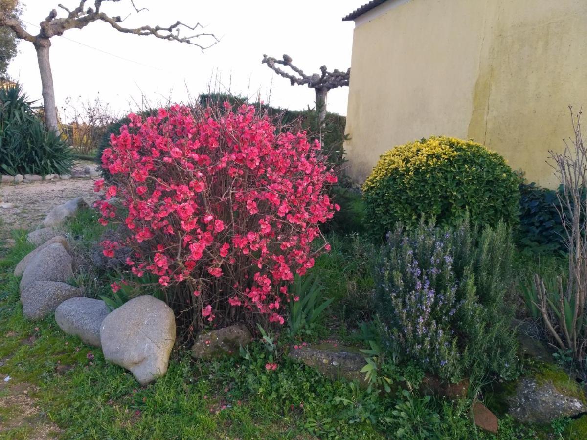 Casa Rural "Can Abres" Vilobi D'Onyar Girona Vilovi de Onar Luaran gambar